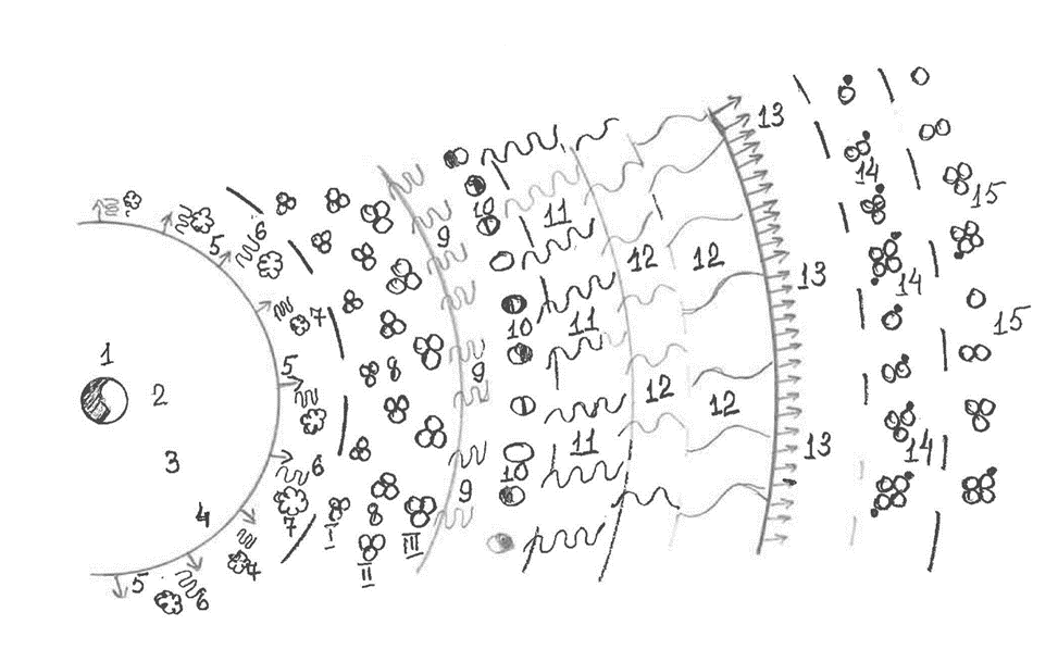 В стадии завершения существования предыдущей Вселенной, в центре ее коллапса, сконцентрировано всего два вида энергии: энергетического ядра и гравитационного поля.